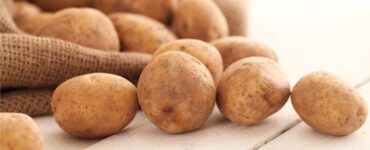 makanan diet pengganti nasi