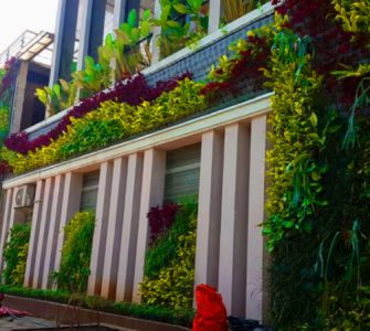 tukang taman vertical garden jakaera