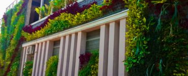 tukang taman vertical garden jakaera