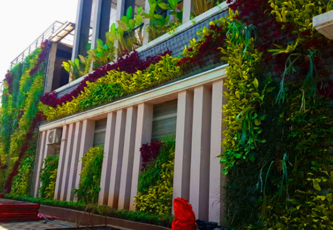 tukang taman vertical garden jakaera