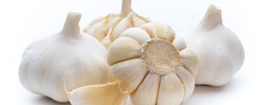 peluang usaha  bawang putih