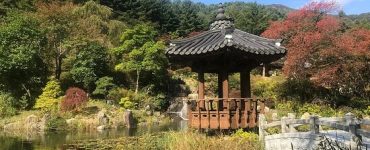 review paket liburan korea selatan