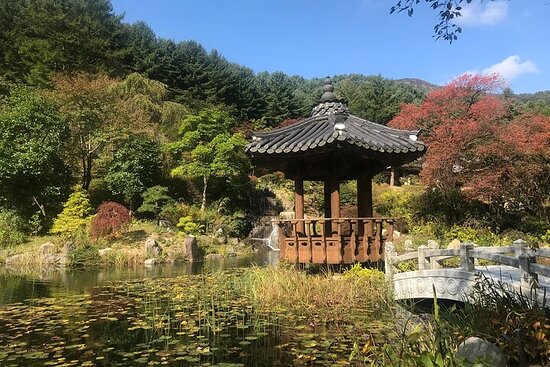 review paket liburan korea selatan