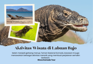 Aktivitas Wisata di Labuan Bajo: 7 Hal Seru yang Wajib Dicoba!