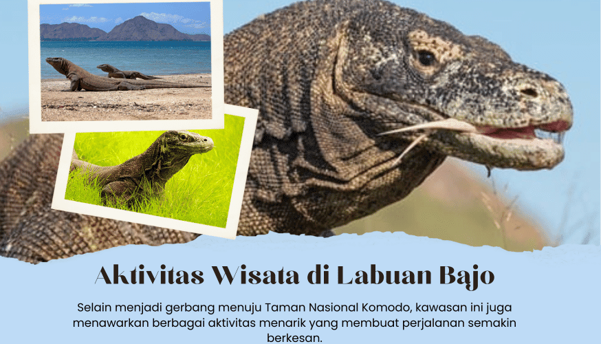 Aktivitas Wisata di Labuan Bajo: 7 Hal Seru yang Wajib Dicoba!