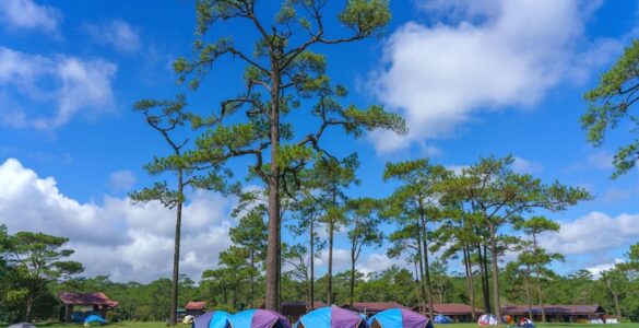 camping di lembang