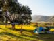 tempat camping di lembang